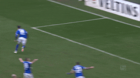 Football Soccer GIF by FC Schalke 04