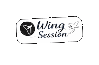 Fly Drone Sticker