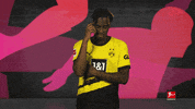 Borussia Dortmund Football GIF by Bundesliga