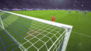 Football Soccer GIF by FC Schalke 04