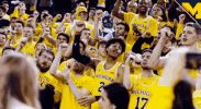 College Basketball GIF by Michigan Athletics