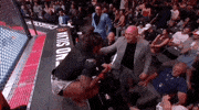 Mixed Martial Arts Sport GIF by UFC