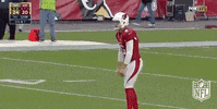 Arizona Cardinals Football GIF by NFL