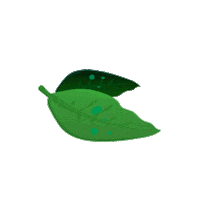 LogoLeon green plants forest leaf Sticker