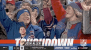 National Football League GIF by NFL