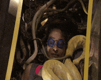 ke GIF