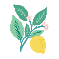 Flower Lemon Sticker by Crate Paper
