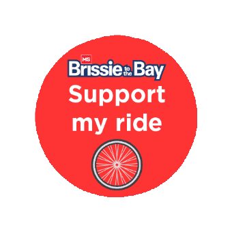 brissietothebay giphygifmaker brissietothebay msqld msbrissietothebay Sticker