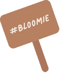 Valentines Day Love Sticker by BloomThis