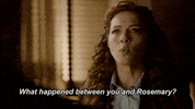 rachelle lefevre fox GIF by Proven Innocent