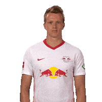 Shrugging Red Bulls Sticker by Bundesliga