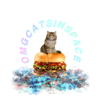 cat STICKER by imoji