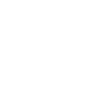 Bling X2 Sticker by Twig Logistics Network