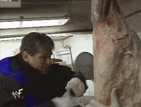 vince mcmahon wrestling GIF by WWE