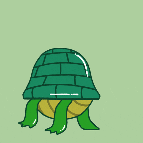 Digital art gif. Animation of a cartoon green turtle poking its head in and out of its shell slowly against a light green background. Text, "Breathe in, breathe out."