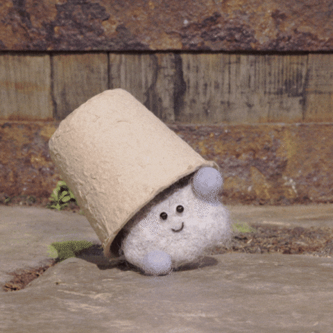 tweedyandfluff love cute friends surprise GIF