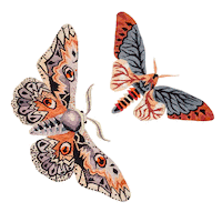 Archives Sticker by CRIS BARROS OFFICIAL