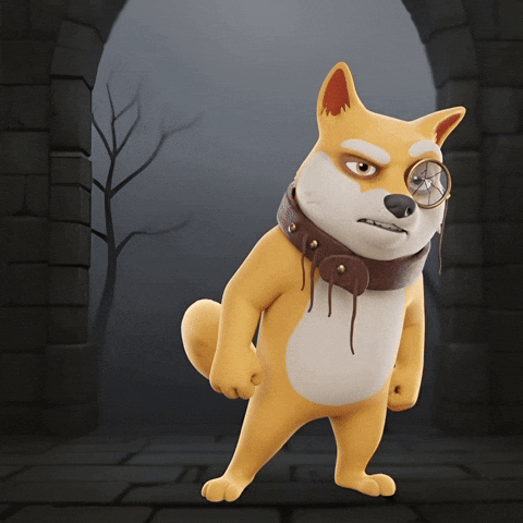 Staring Shiba Inu GIF by Doge Pound