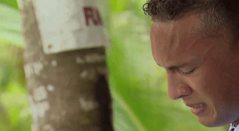 Hula330 giphygifmaker the bachelorette GIF