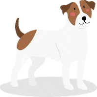 Happy Fun Sticker by Barkibu