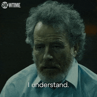 Season 2 S2 E4 GIF by SHOWTIME