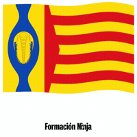 Flag Spain GIF by Formación Ninja