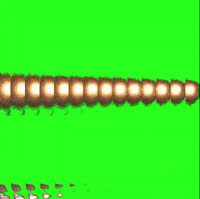 Loop Video GIF by John Fogarty