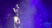 pitchfork music festival GIF by Pitchfork