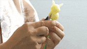 candy culture GIF by Digg