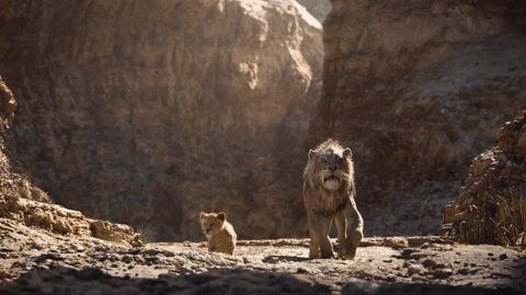 cdgifmaker giphygifmaker GIF