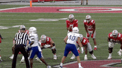 Ohio State Buckeyes Football GIF by Ohio State Athletics