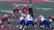 Ohio State Buckeyes Football GIF by Ohio State Athletics