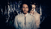 Sub Pop Wtf GIF by Sub Pop Records