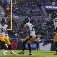 Excited Celebration GIF by Pittsburgh Steelers