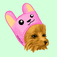 Sad Dog GIF