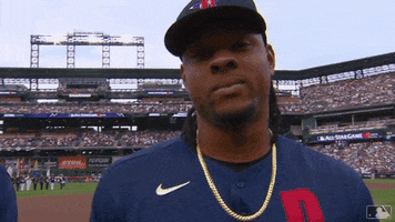 Detroit Tigers Sport GIF by MLB