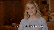 kennedycenter comedy pbs julia louis-dreyfus kennedy center GIF