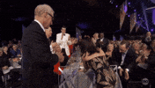 Julia Louis Dreyfus Sag Awards 2017 GIF by Actor Awards