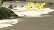 Basset Hound Water GIF by Four Rest Films