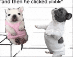Pibble GIF