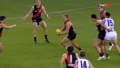 sport afl GIF by Essendon FC