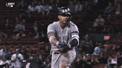 Excited New York GIF by New York Yankees