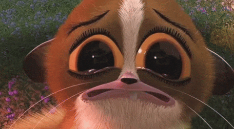 Madagascar Mort GIF