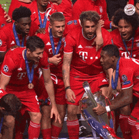 Champions League Football GIF by FC Bayern Munich