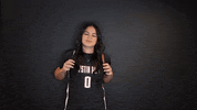 Chamberlain Govs GIF by Austin Peay Athletics
