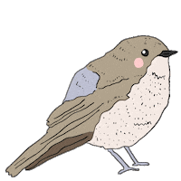 Bird Crown Sticker by Megan McKean