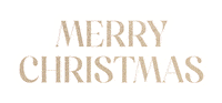 Merrychristmas Sticker by idealworld