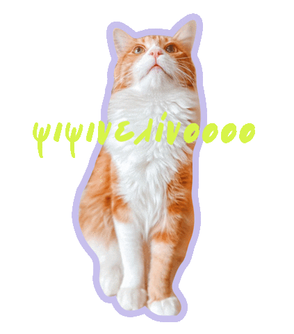 Cat Sebastian Sticker