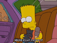 bart simpson episode 21 GIF