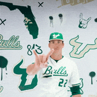 South Florida Baseball GIF by USF Athletics
